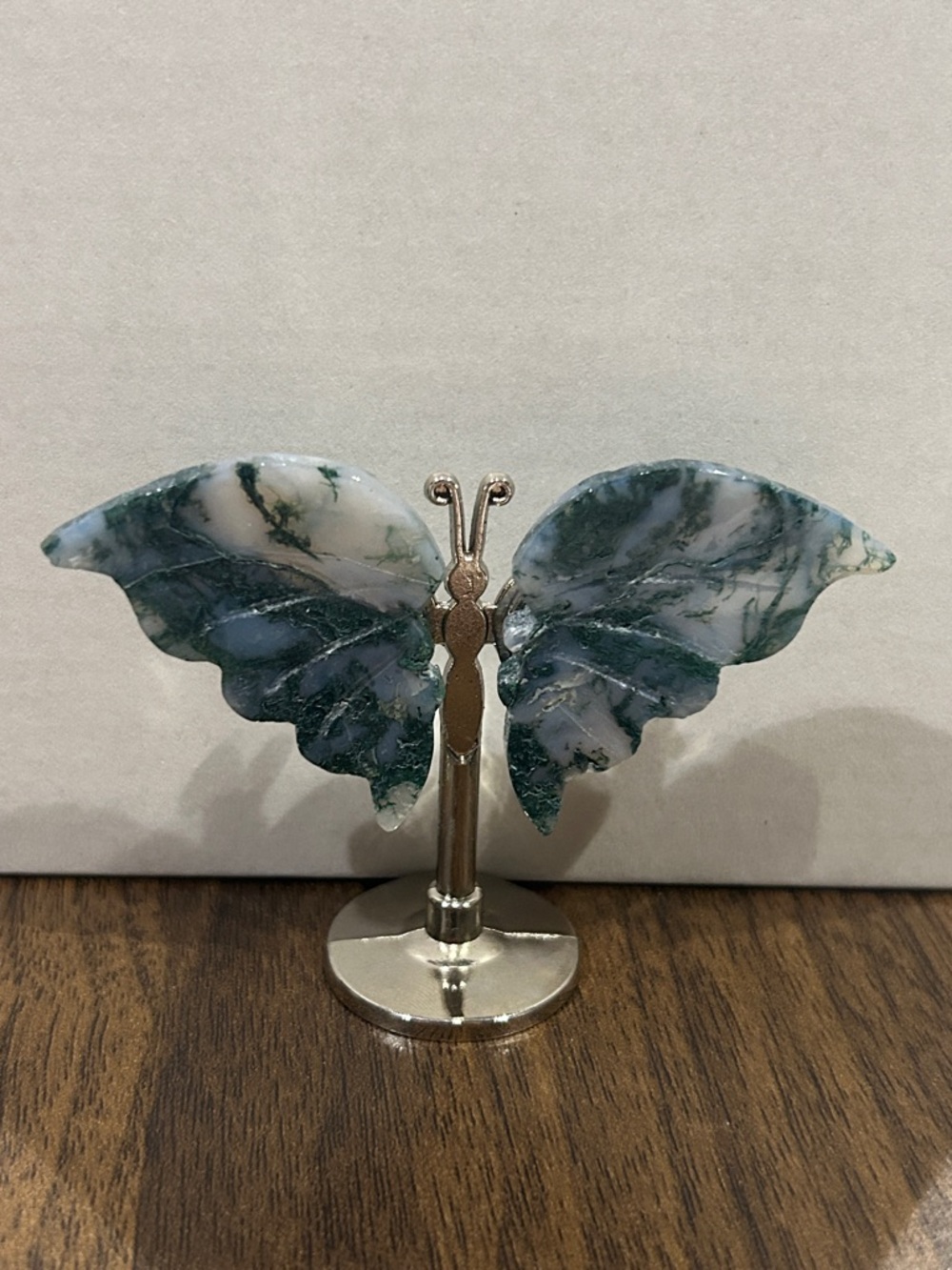 Butterfly - Picture 2 of 5